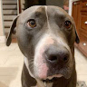 Meet your Posher, Joseph